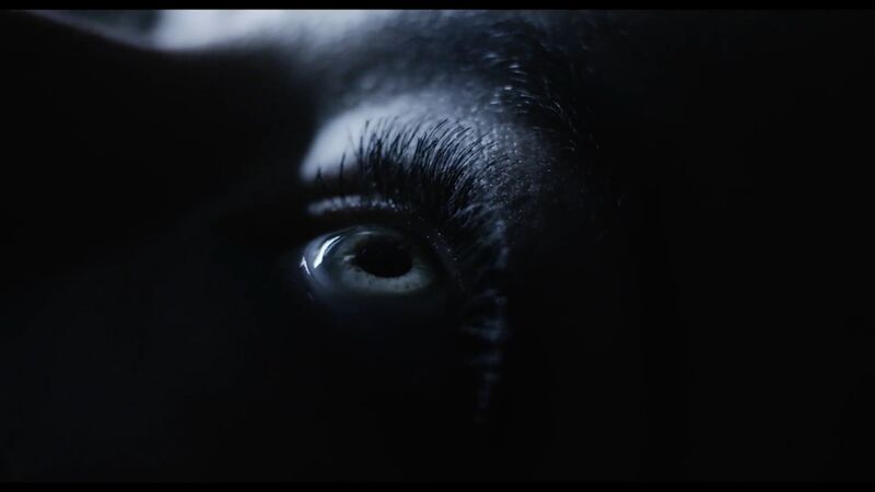 File:The Collector - DUST 14.jpg