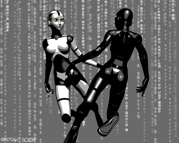 File:Yin and Yang Androids by erotaki.jpg