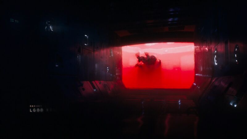 File:Ghost in the Shell (2017) 12.jpg