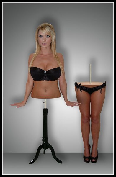 File:Some Assembly Required by rembrandt jones.jpg