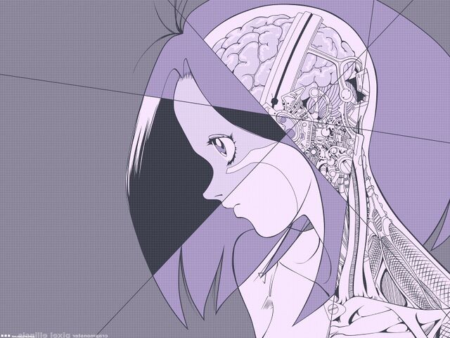 640 × 480 pixels