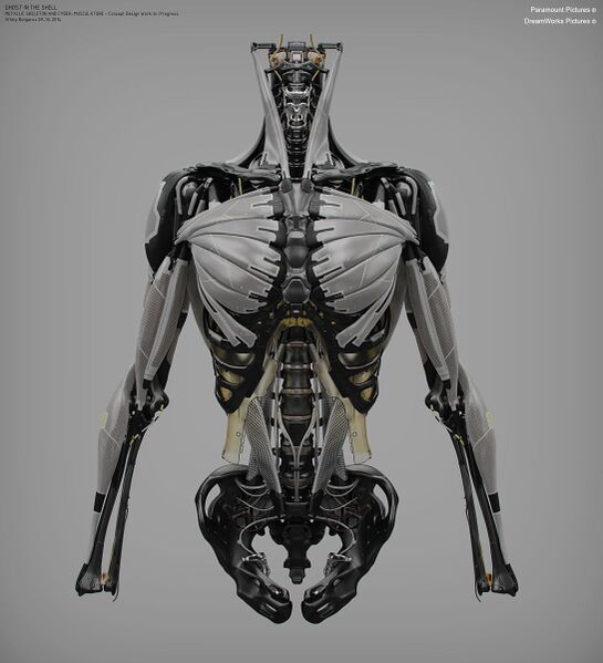 File:GITS Movie mounted torso (1).jpg