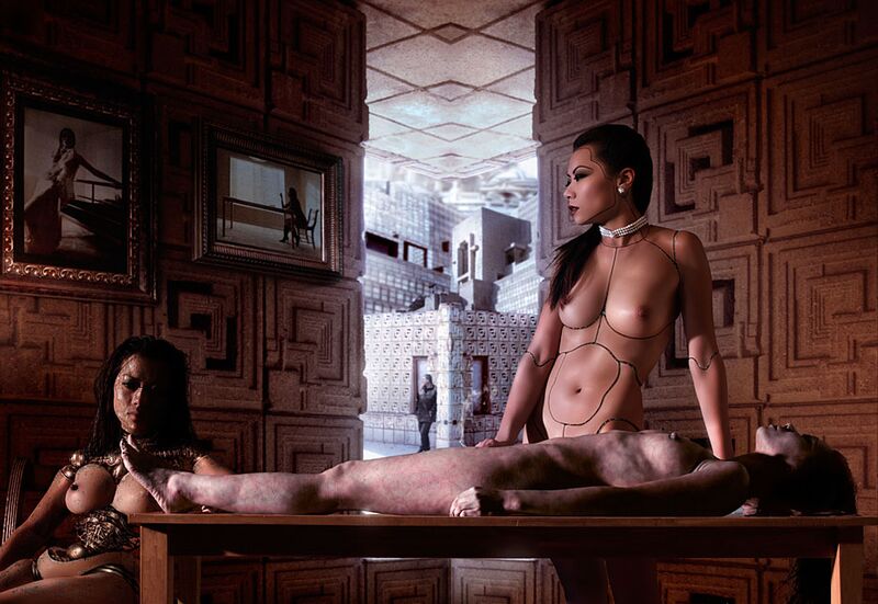 File:VARIOUS GENERATIONS TO RECREATE THE PERFECT MEMORY.jpg