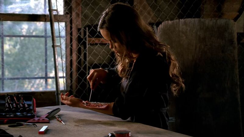 File:The Sarah Connor Chronicles 2.17-30.jpg